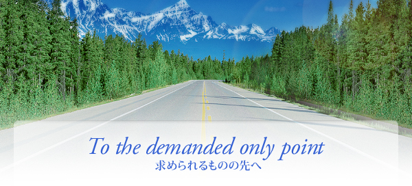߂̂̐ցiTo the demanded only pointj